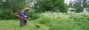 Aicinām darbā palīgstrādniekus - zāles pļāvējus.