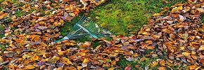 Lapu savākšanas akcija – rudens 2019